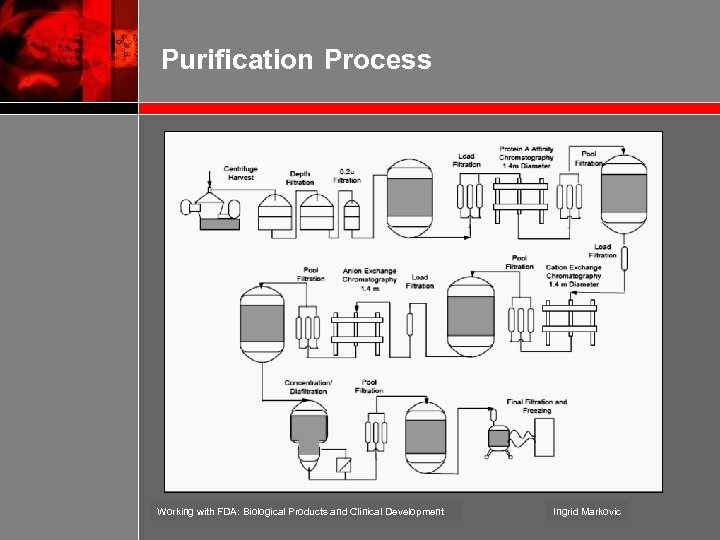 Purification Process Working with FDA: Biological Products and Clinical Development Ingrid Markovic 