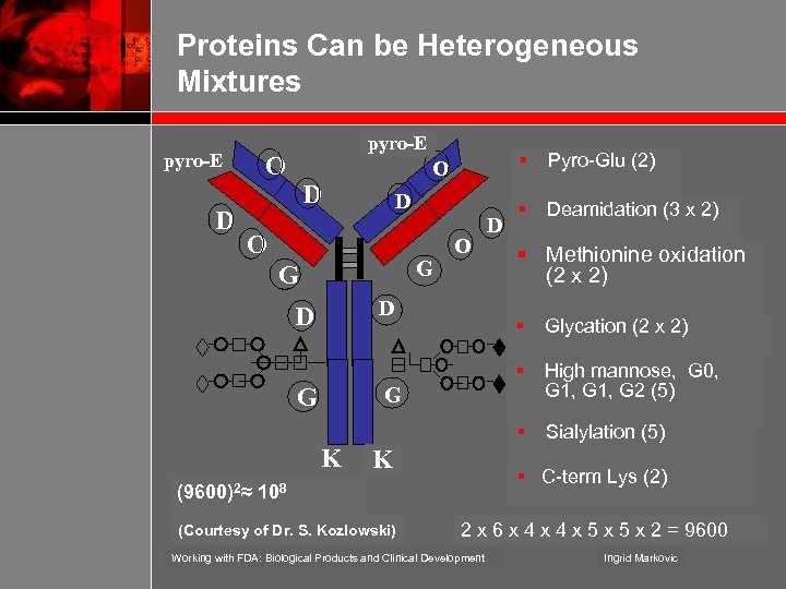 Proteins Can be Heterogeneous Mixtures pyro-E D pyro-E O § O D D O