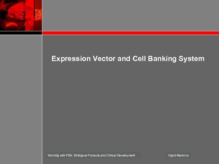 Expression Vector and Cell Banking System Working with FDA: Biological Products and Clinical Development