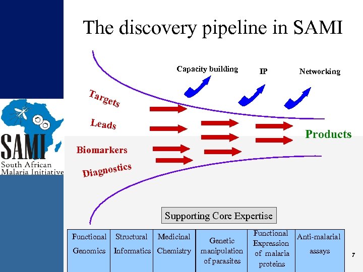 The discovery pipeline in SAMI Capacity building IP Networking Tar gets Leads Products Biomarkers