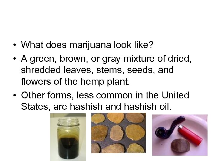  • What does marijuana look like? • A green, brown, or gray mixture
