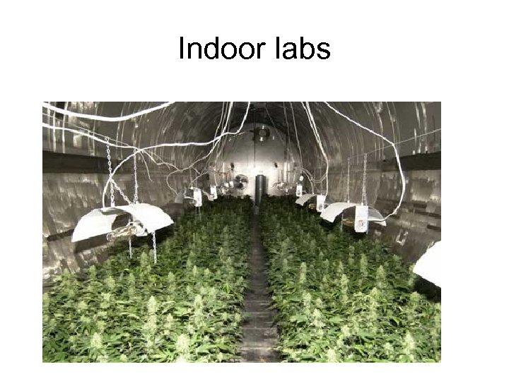 Indoor labs 