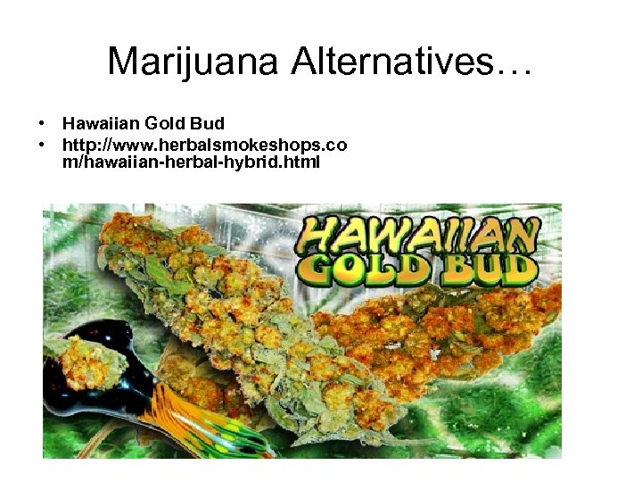 Marijuana Alternatives… • Hawaiian Gold Bud • http: //www. herbalsmokeshops. co m/hawaiian-herbal-hybrid. html 