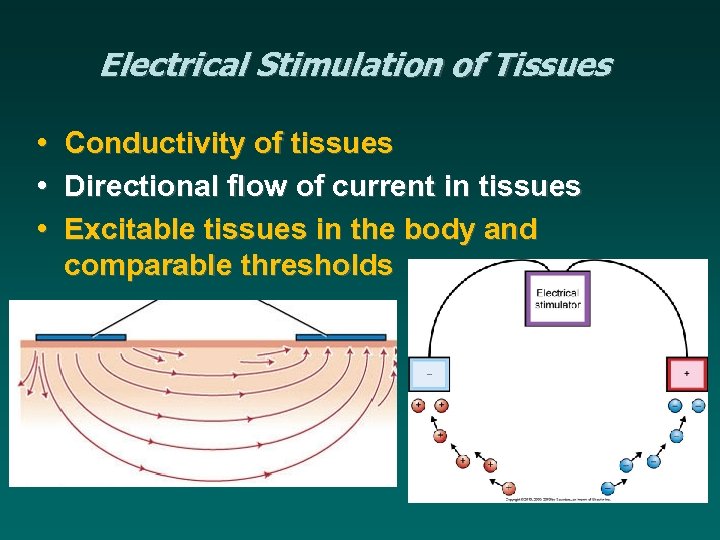 Electrical Stimulation of Tissues • • • Conductivity of tissues Directional flow of current