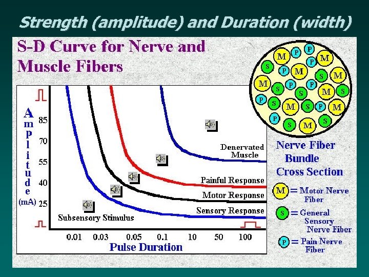 Strength (amplitude) and Duration (width) 