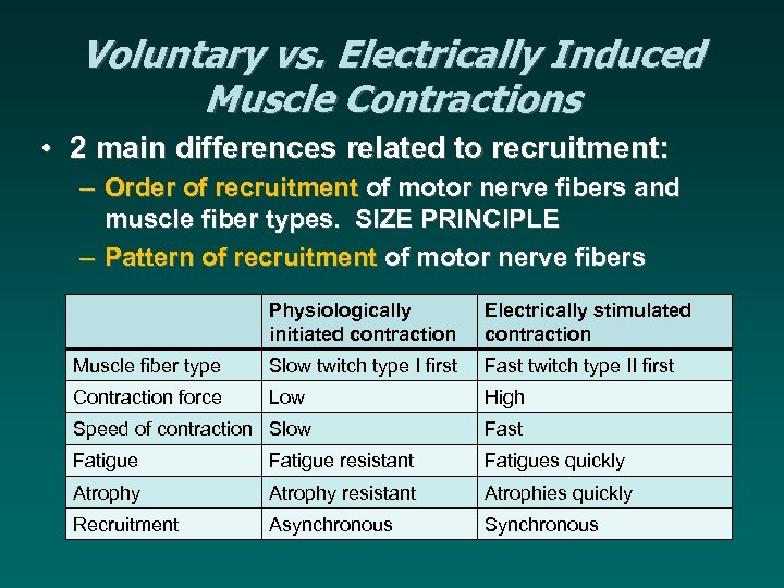 Voluntary vs. Electrically Induced Muscle Contractions • 2 main differences related to recruitment: –