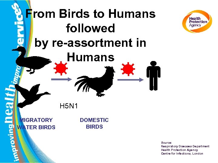 From Birds to Humans followed by re-assortment in Humans H 5 N 1 MIGRATORY