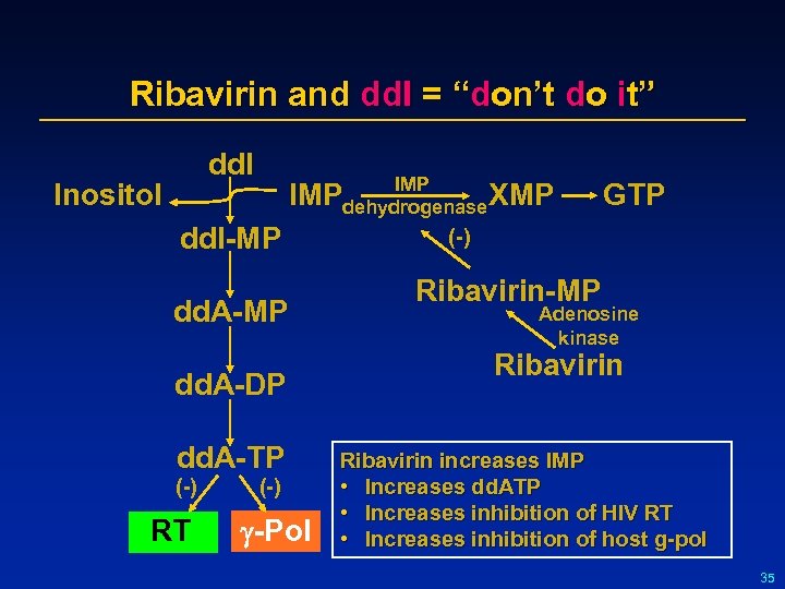 Ribavirin and dd. I = “don’t do it” dd. I Inositol IMP XMP dehydrogenase