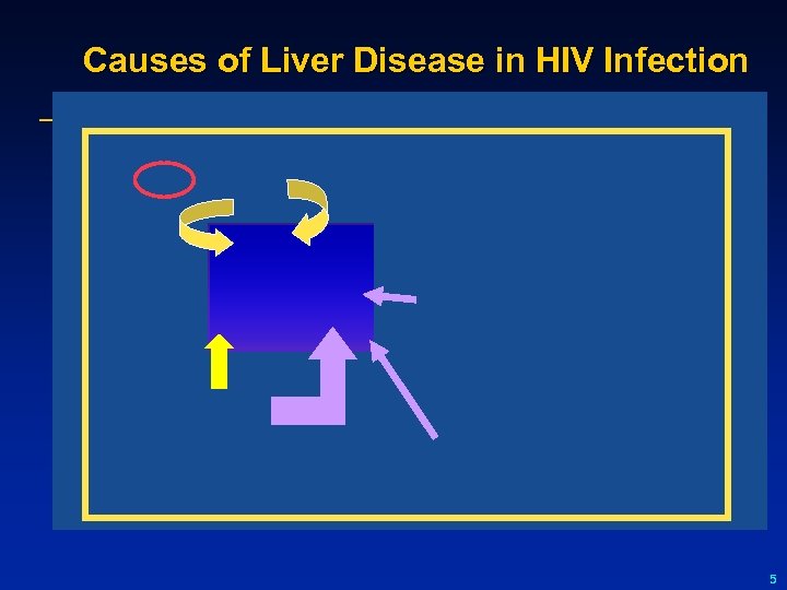 Causes of Liver Disease in HIV Infection 5 