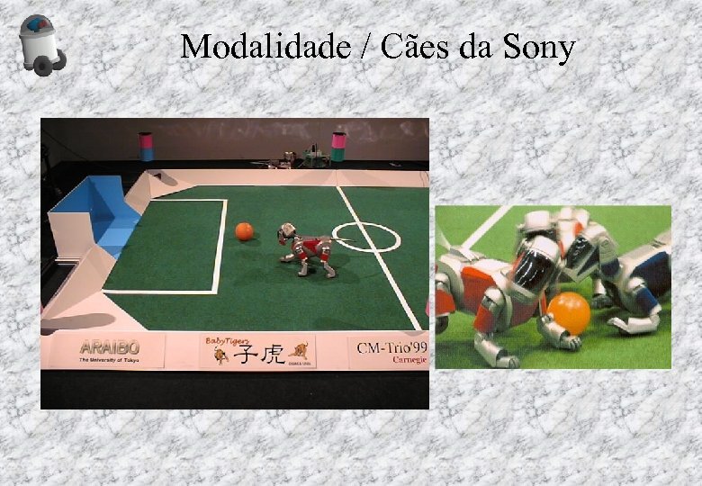 Modalidade / Cães da Sony 