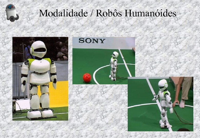 Modalidade / Robôs Humanóides 