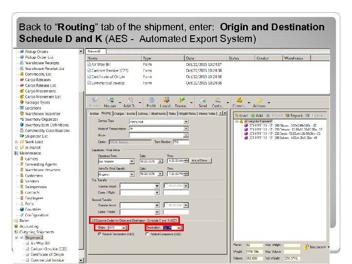 Back to “Routing” tab of the shipment, enter: Origin and Destination Schedule D and