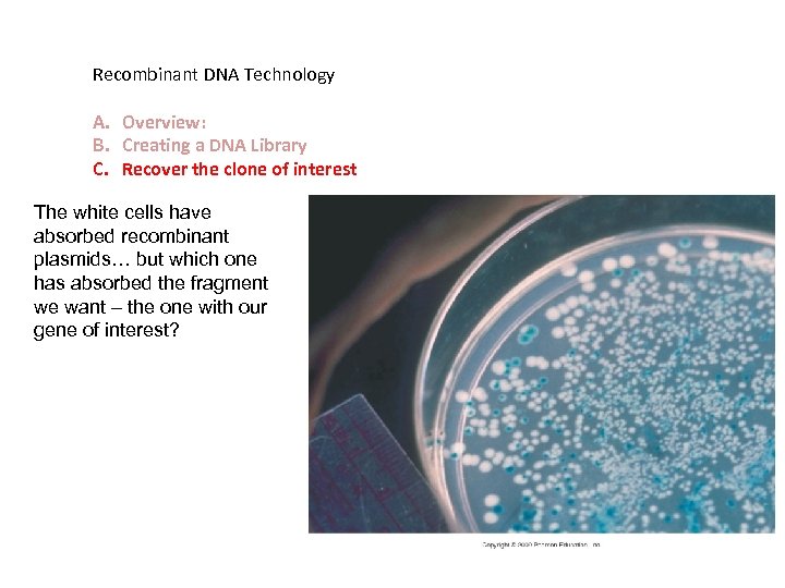 Recombinant DNA Technology A. Overview: B. Creating a DNA Library C. Recover the clone