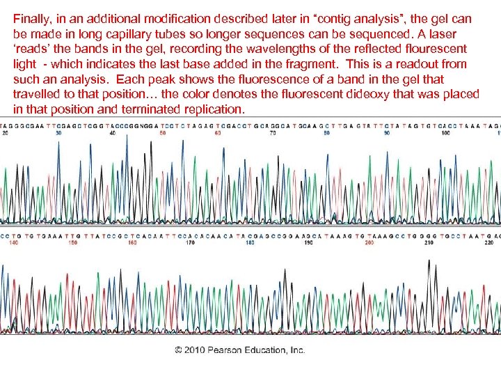 Finally, in an additional modification described later in “contig analysis”, the gel can be