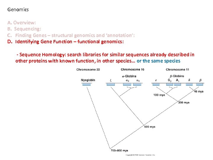 Genomics A. Overview: B. Sequencing: C. Finding Genes – structural genomics and ‘annotation’: D.