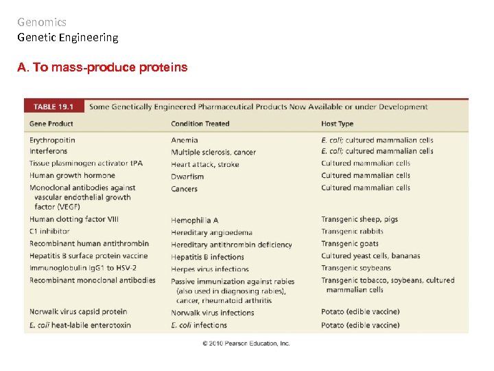 Genomics Genetic Engineering A. To mass-produce proteins 