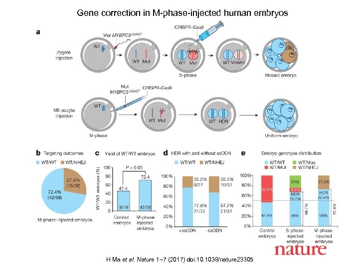 Gene correction in M-phase-injected human embryos H Ma et al. Nature 1– 7 (2017)