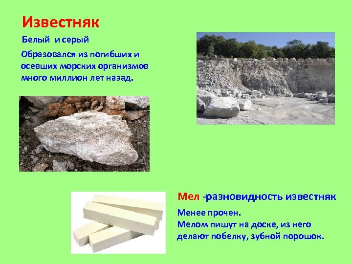 Известняк Белый и серый Образовался из погибших и осевших морских организмов много миллион лет
