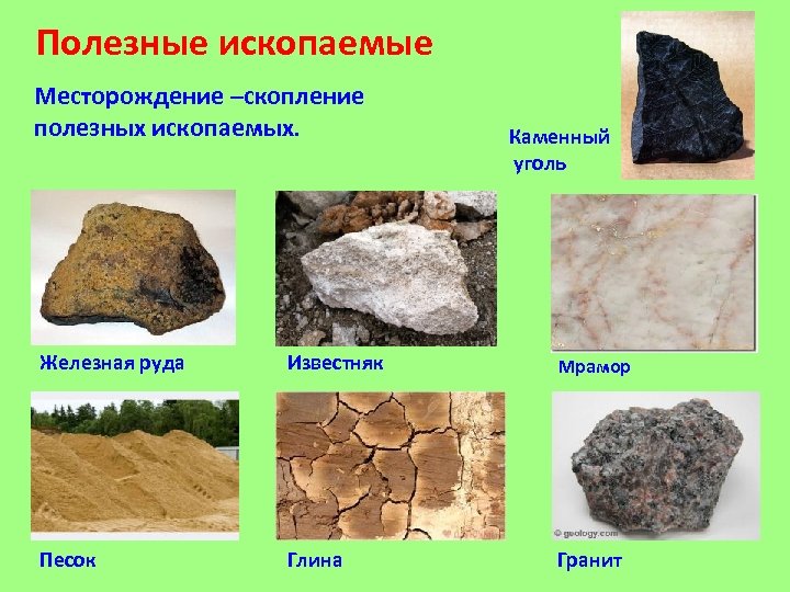Полезные ископаемые Месторождение –скопление полезных ископаемых. Каменный уголь Железная руда Известняк Мрамор Песок Глина