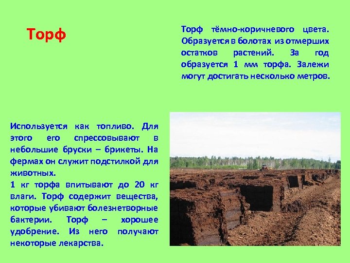 Торф Используется как топливо. Для этого его спрессовывают в небольшие бруски – брикеты. На