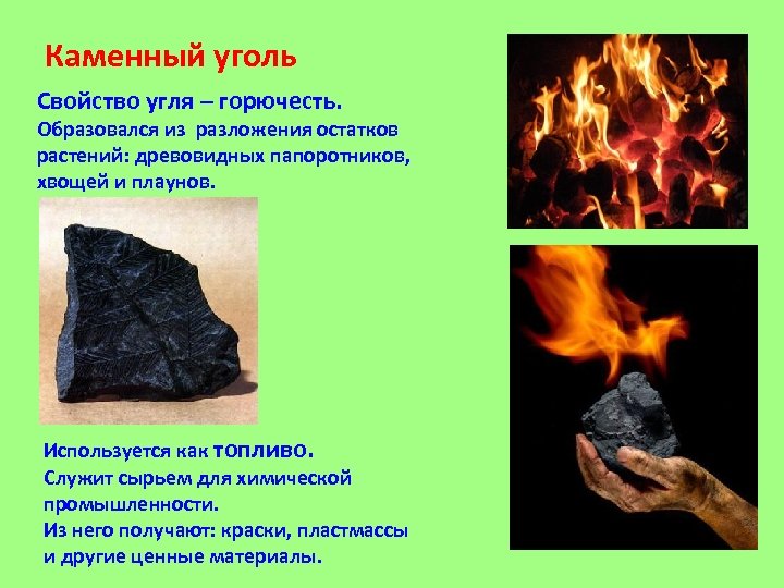 Каменный уголь Свойство угля – горючесть. Образовался из разложения остатков растений: древовидных папоротников, хвощей