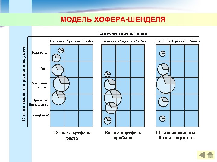 МОДЕЛЬ ХОФЕРА-ШЕНДЕЛЯ 