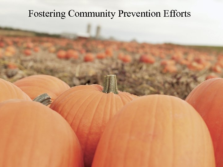 Fostering Community Prevention Efforts The Action: Strategic Partnerships and Diffusing What Works Because Kids