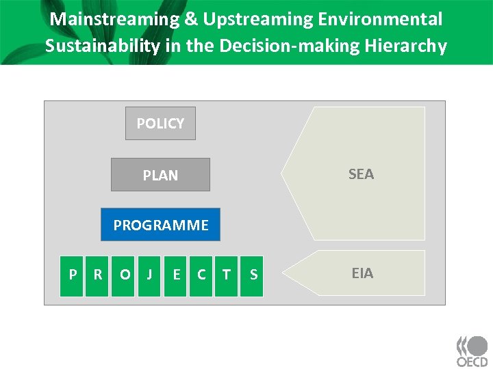 Mainstreaming & Upstreaming Environmental Sustainability in the Decision-making Hierarchy POLICY SEA PLAN PROGRAMME P