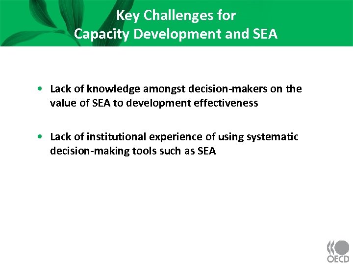 Key Challenges for Capacity Development and SEA • Lack of knowledge amongst decision-makers on
