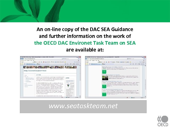 An on-line copy of the DAC SEA Guidance and further information on the work