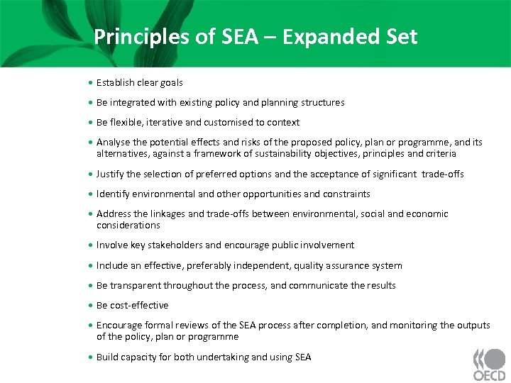 Principles of SEA – Expanded Set • Establish clear goals • Be integrated with