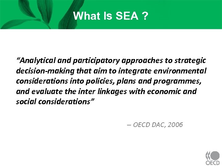 What Is SEA ? “Analytical and participatory approaches to strategic decision-making that aim to