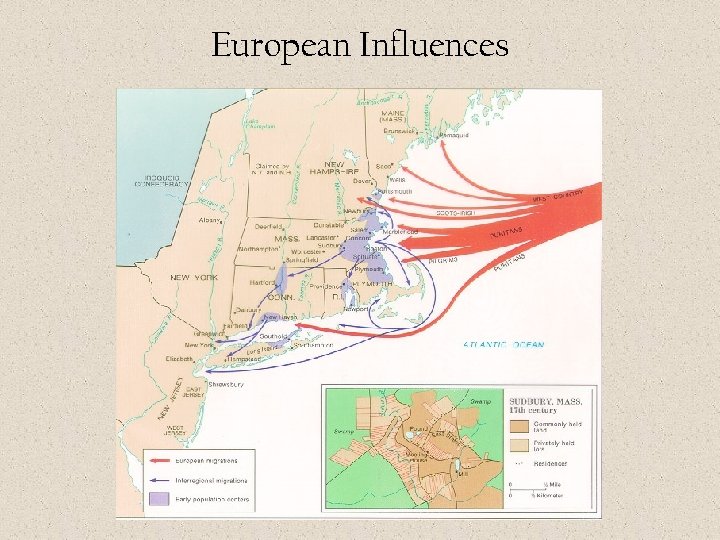 European Influences 