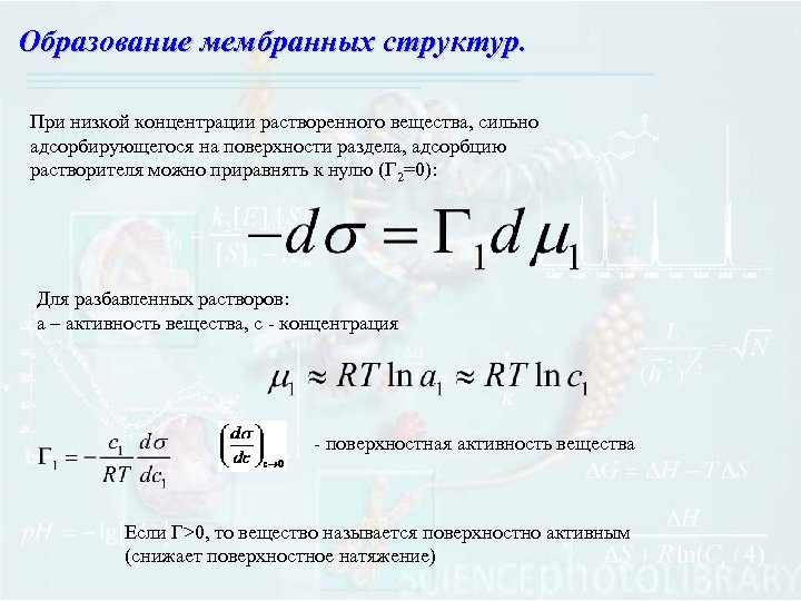 Образование мембранных структур. При низкой концентрации растворенного вещества, сильно адсорбирующегося на поверхности раздела, адсорбцию