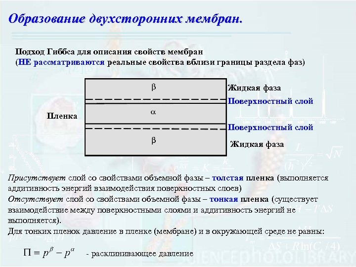Образование двухсторонних мембран. Подход Гиббса для описания свойств мембран (НЕ рассматриваются реальные свойства вблизи