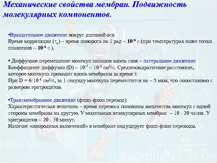 Механические свойства мембран. Подвижность молекулярных компонентов. • Вращательное движение вокруг длинной оси Время корреляции