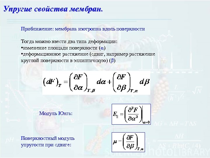 Упругие свойства. Упругие свойства мембраны. Электрические характеристики мембран. Модуль деформации мембраны. Модуль упругости мембраны.