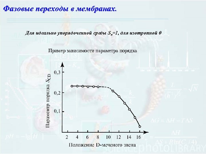 Фазовые переходы в мембранах. Для идеально упорядоченной среды Sn=1, для изотропной 0 Пример зависимости