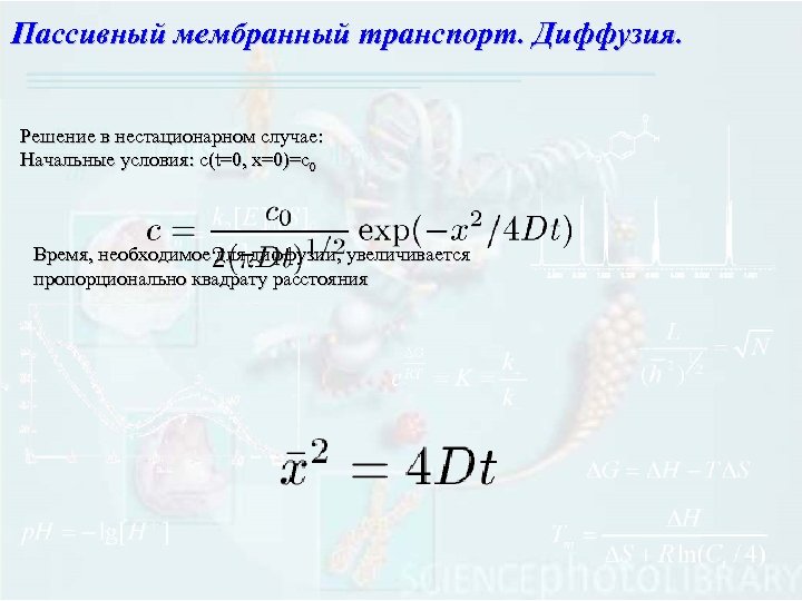 Пассивный мембранный транспорт. Диффузия. Решение в нестационарном случае: Начальные условия: с(t=0, x=0)=c 0 Время,