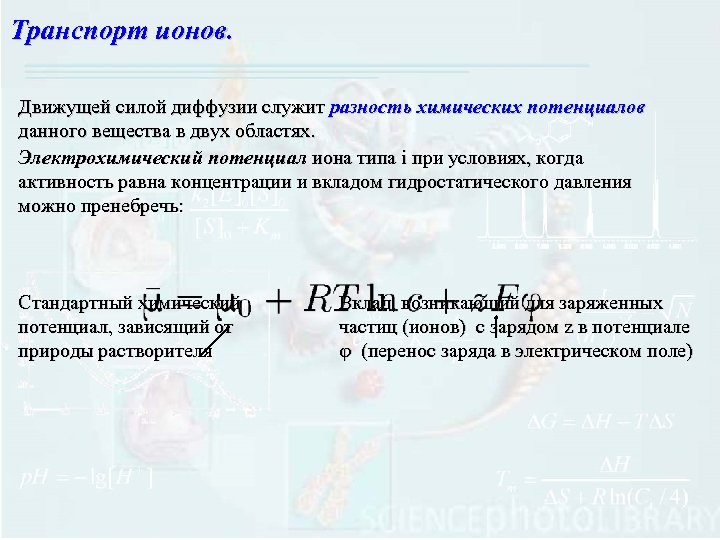 Транспорт ионов. Движущей силой диффузии служит разность химических потенциалов данного вещества в двух областях.