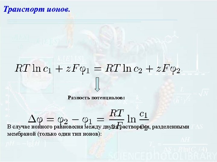 Транспорт ионов. Разность потенциалов: В случае ионного равновесия между двумя растворами, разделенными мембраной (только