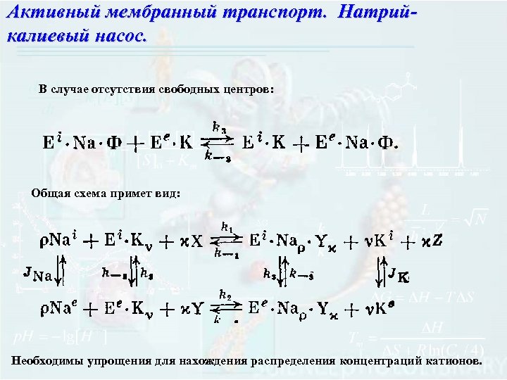 Активный мембранный транспорт. Натрийкалиевый насос. В случае отсутствия свободных центров: Общая схема примет вид: