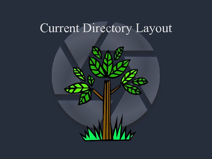 Current Directory Layout 