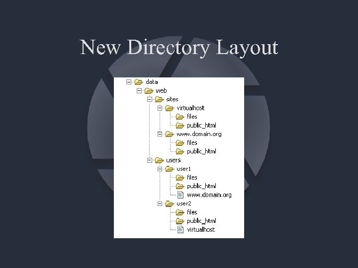 New Directory Layout 