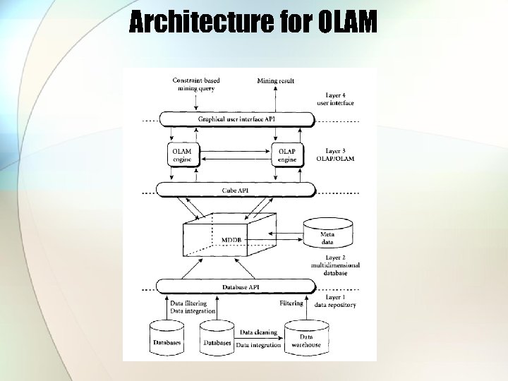 Architecture for OLAM 