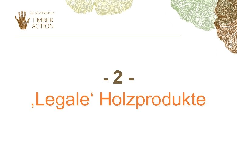 -2 - ‚Legale‘ Holzprodukte 