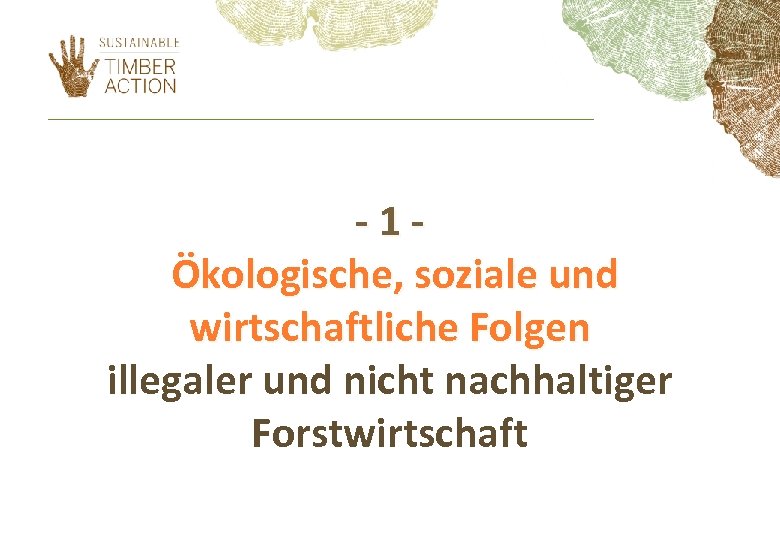 -1Ökologische, soziale und wirtschaftliche Folgen illegaler und nicht nachhaltiger Forstwirtschaft 