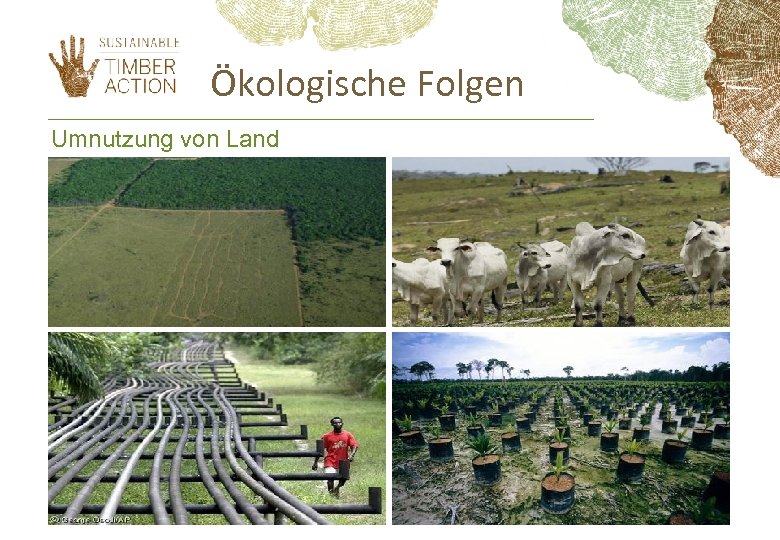 Ökologische Folgen Umnutzung von Land 