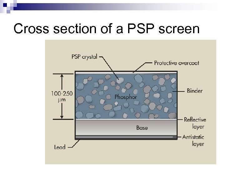 Cross section of a PSP screen 