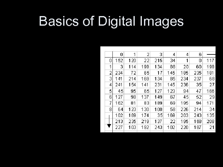 Basics of Digital Images 